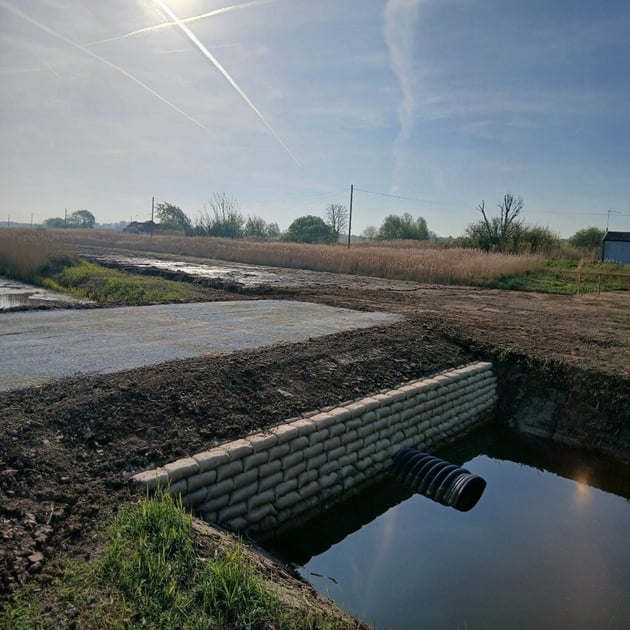 BAM - MAIN PIC 3 -Picture3