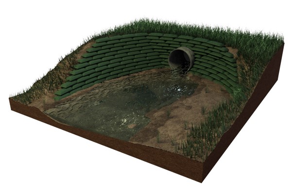 Picture1