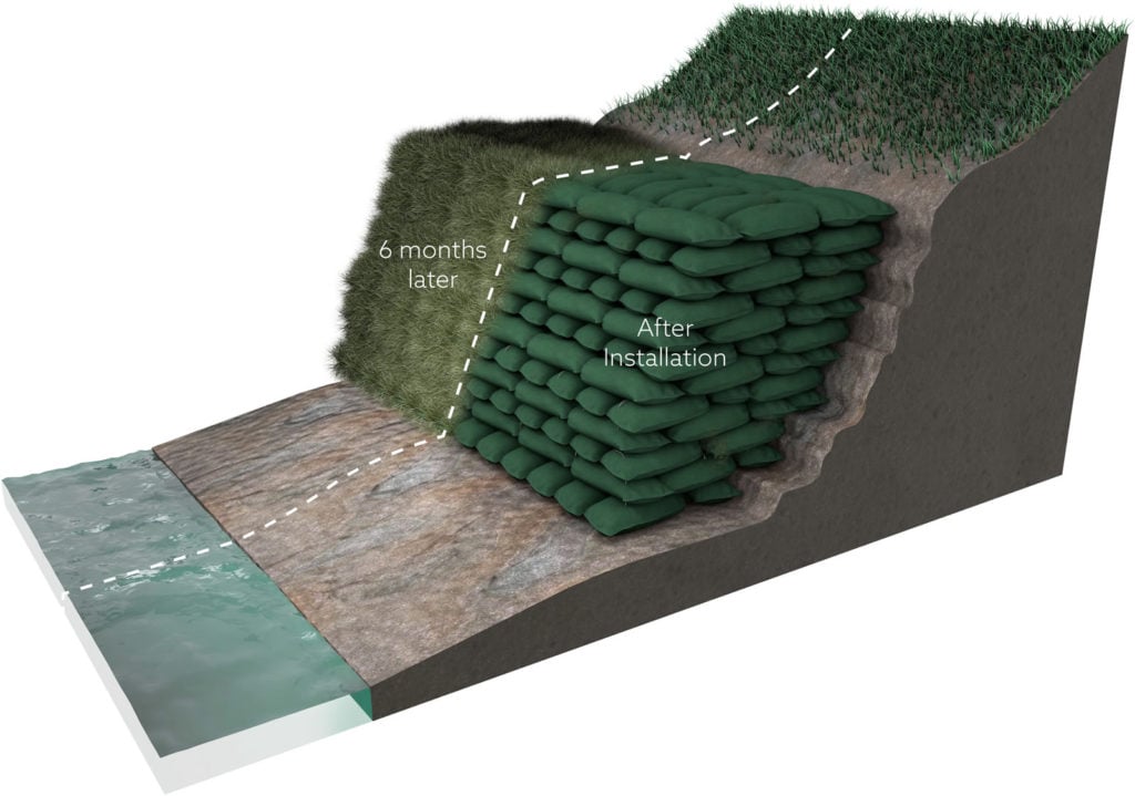 Soil Bagwork Graphic 1