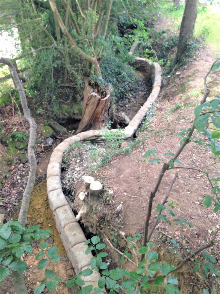 5-unsmushed-768x1024-2