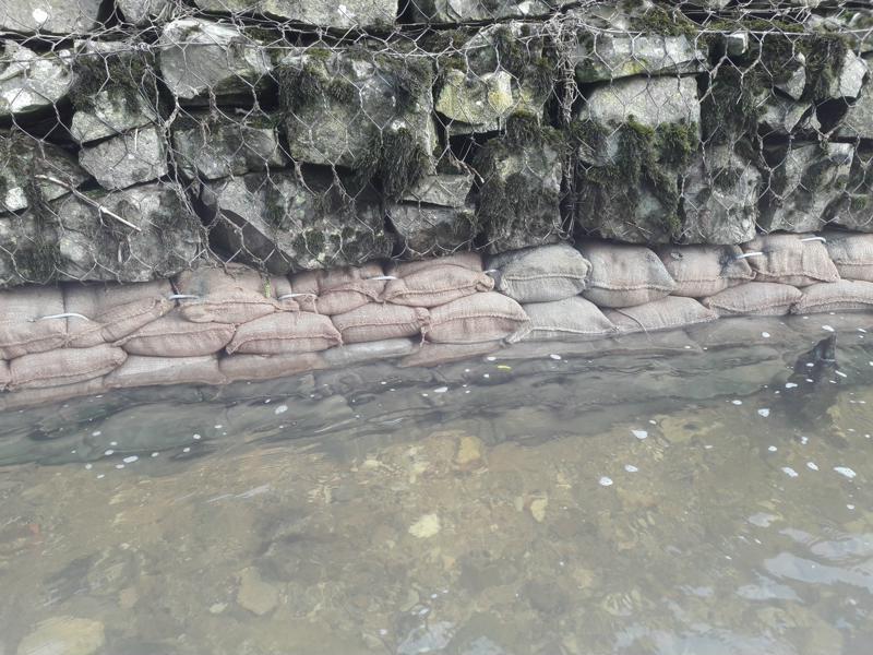 Hoff Underpinning (1)