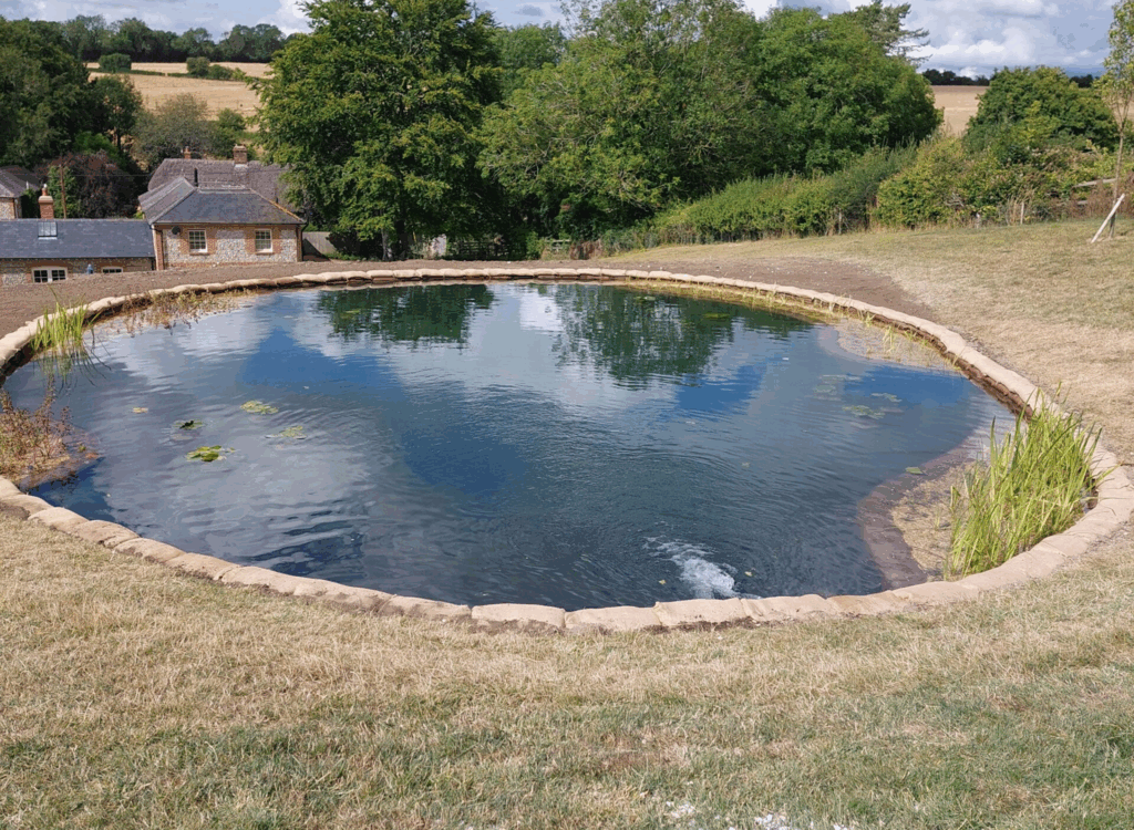 natural-pools-1024x750